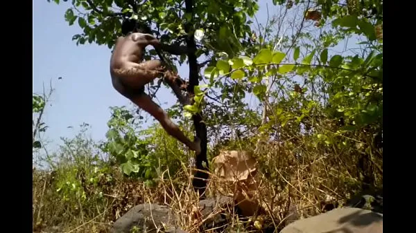 أفضل Village Boy Nude Safar In Forest Play With Tree's مقاطع الأفلام